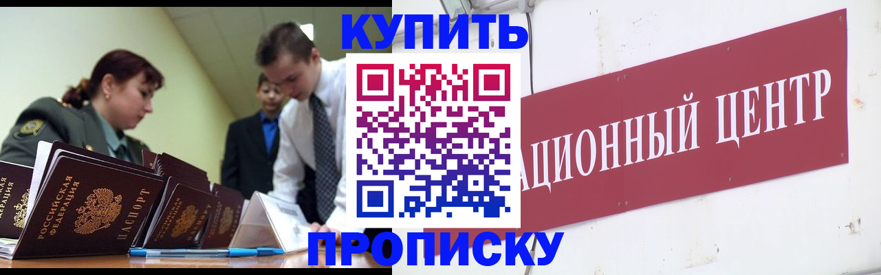 прописка поиск в Ленинградской области